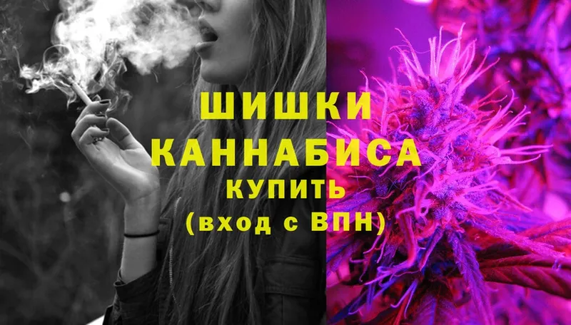 Бошки Шишки THC 21%  MEGA маркетплейс  Вичуга 